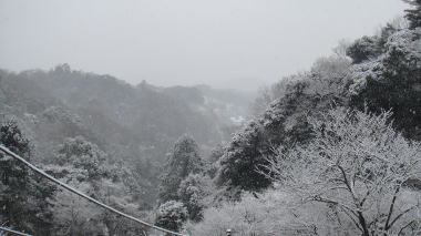 半僧坊30
