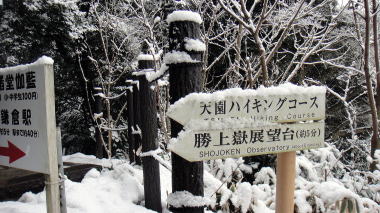 勝上献1