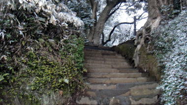 勝上献2