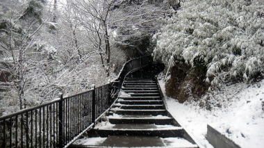 河村瑞賢の墓2