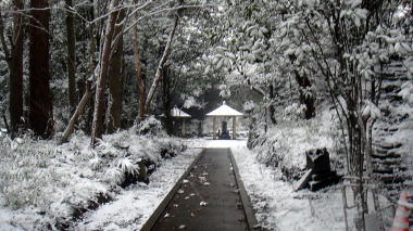 河村瑞賢の墓3