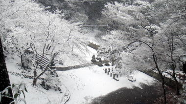 半僧坊旧参道7