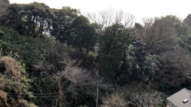 展望台からの眺め1