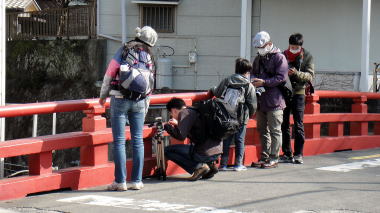桜橋