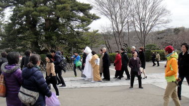 鶴岡八幡宮結婚式
