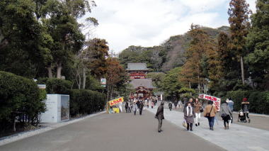 鶴岡八幡宮