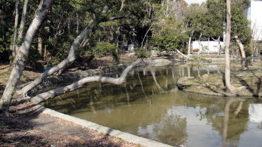 平家池