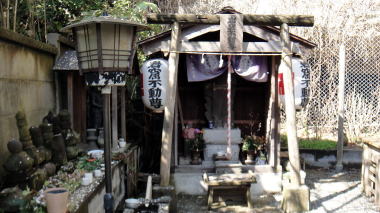 不動茶屋9