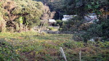 田辺ヶ池02