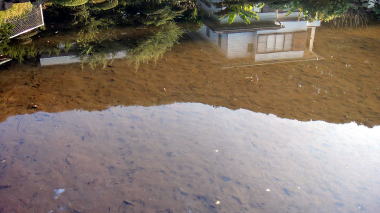 田辺ヶ池06