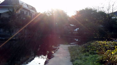 田辺ヶ池04