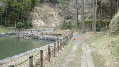 大覚池
