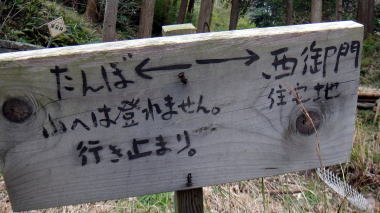 分岐