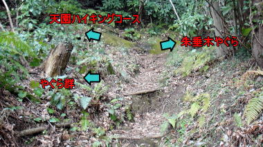回春院から朱垂木やぐらへ14