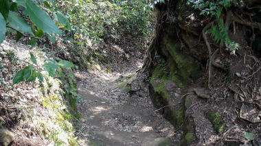 覚園寺へ4