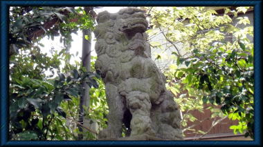 八雲神社(大町)の狛犬阿形